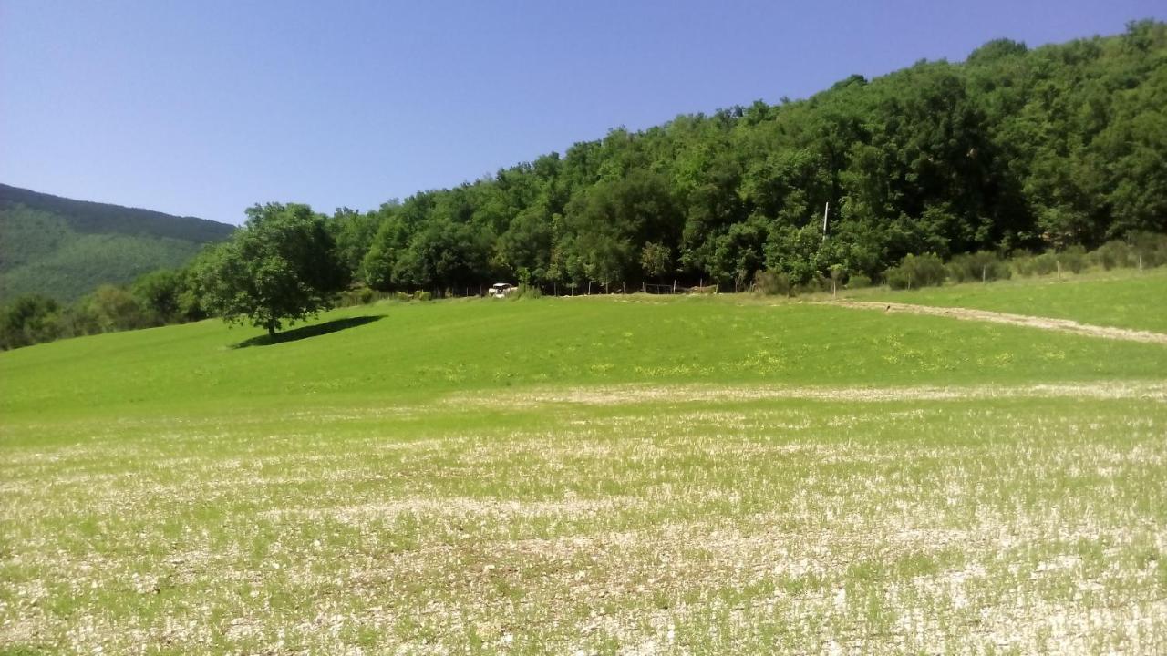 Agriturismo Il Casale Degli Amici Norcia Bagian luar foto